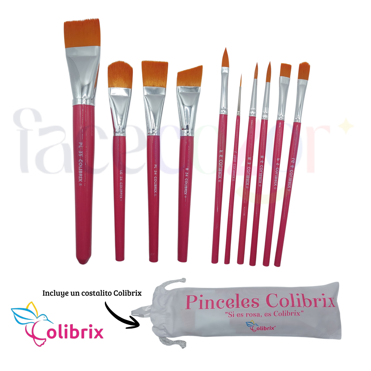Colección 10 Pinceles Colibrix