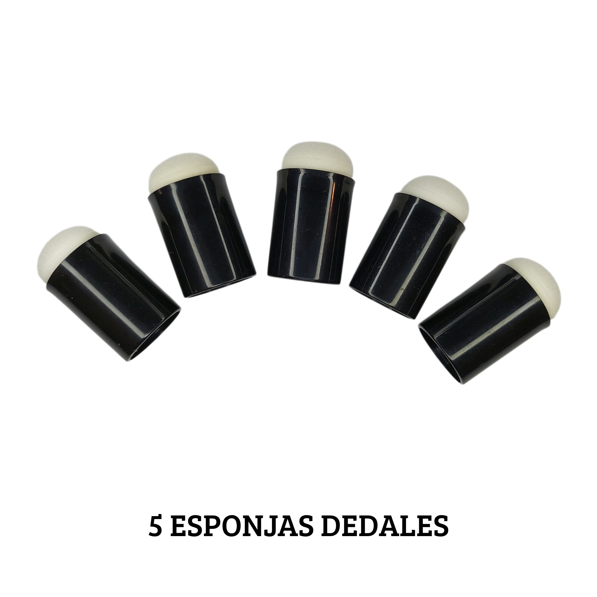 SET 5 DEDALES