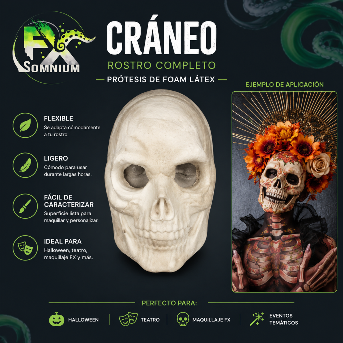 Cráneo cara completa
