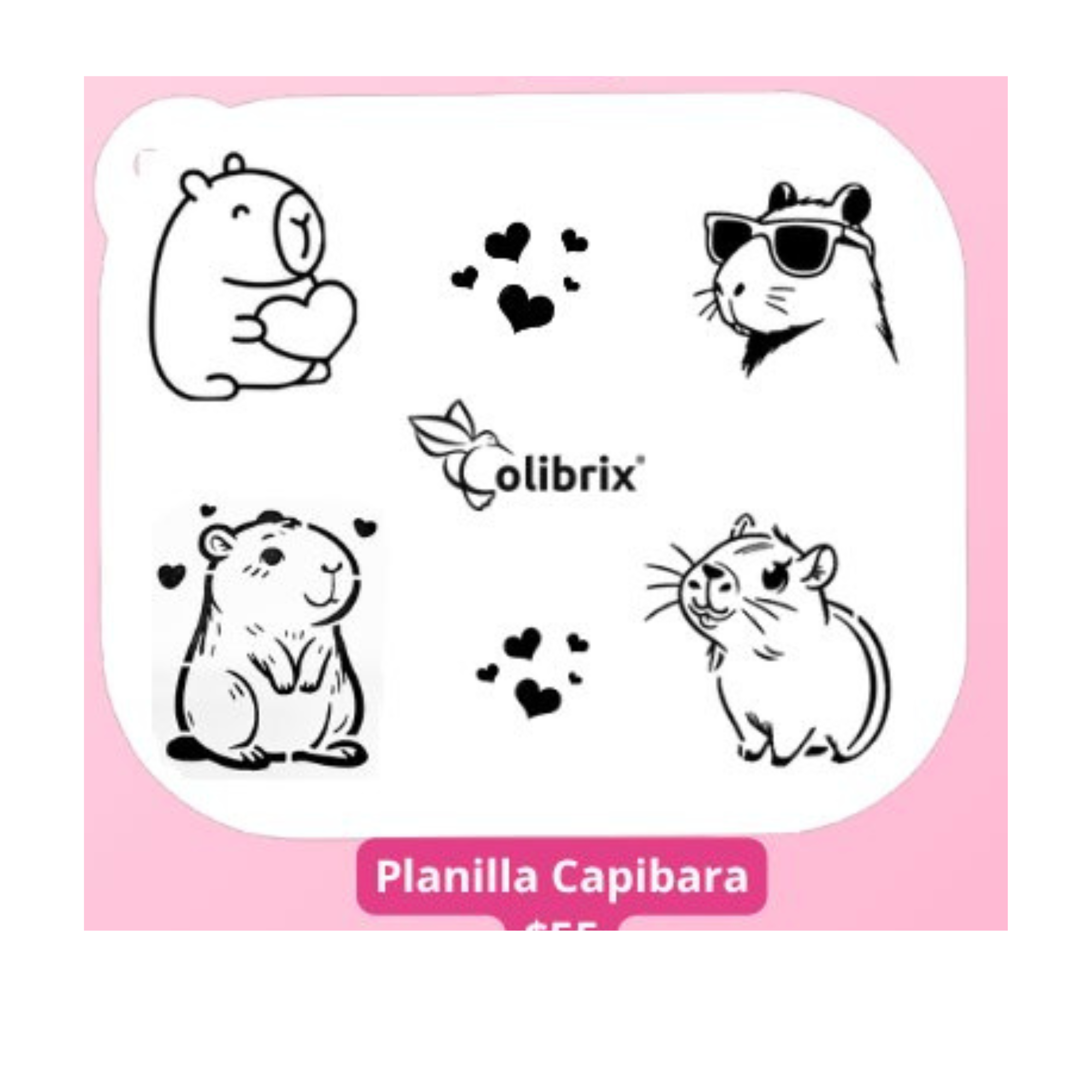Planillas Kids Colibrix #2