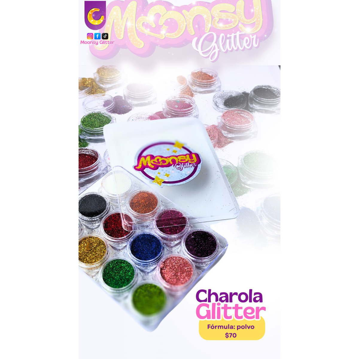 Charola 12 colores Glitter en Polvo